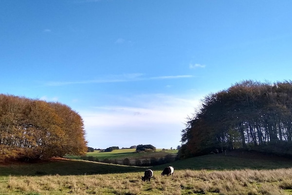 Gerenoveerd landhuis aan de golfbaan bij Østervrå, 4 personen - thumbnail 6