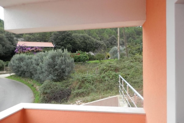 Op 300 m van het strand: Comfortabel appartement in Jelsa - thumbnail 5