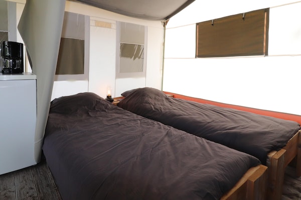 Glamping in Friesland: Luxe safaritent Noflik op rustige natuurcamping - thumbnail 4