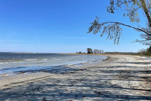 Sfeervol vakantiehuis in het bos bij Sölvesborg - thumbnail 6