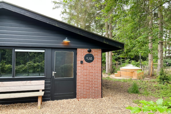 Dutch Cabin Houses C65: Luxe wellness vakantiehuis in Rheezerveen - thumbnail 2