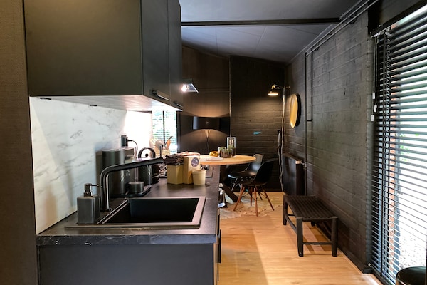 Dutch Cabin Houses C65: Luxe wellness vakantiehuis in Rheezerveen - thumbnail 3