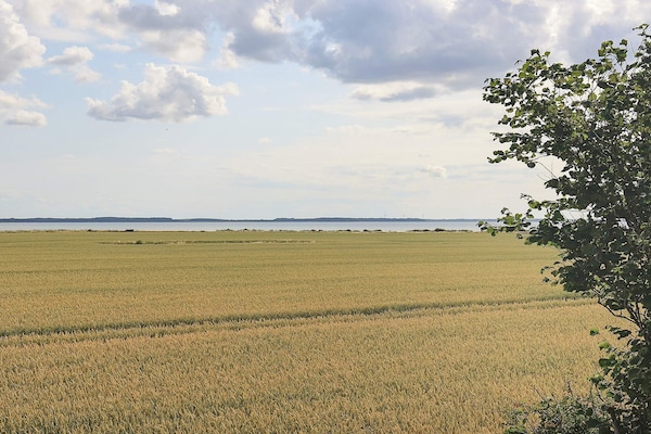 Sfeervol rietgedekt vakantiehuis bij Sakskøbing met uitzicht op zee - thumbnail 5