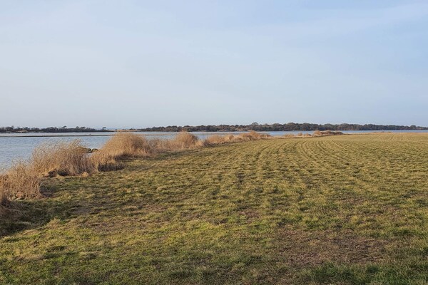 Sfeervol rietgedekt vakantiehuis bij Sakskøbing met uitzicht op zee - thumbnail 3