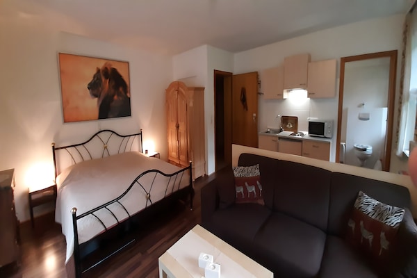 2-persoons appartement in Wildemann direct aan de piste - thumbnail 5