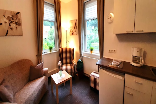 Centraal gelegen appartement in Wildemann aan de piste - thumbnail 4