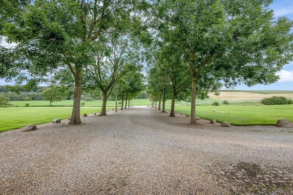 Hesthave: Luxueus landhuis voor 30 gasten met wellness en golf in Spøttrup - thumbnail 6