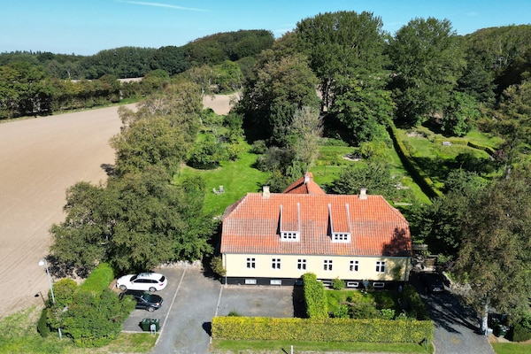 Licht vakantiehuis bij Tranekær met uitzicht op velden en wilde paarden - thumbnail 1