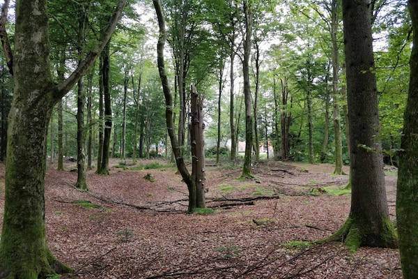 Vrijstaand vakantiehuis aan Skjern Å in Kibæk, Denemarken - thumbnail 2