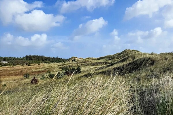 Golfbaan op 600m: Modern vakantiehuis voor 12 personen in Ålbæk - thumbnail 5