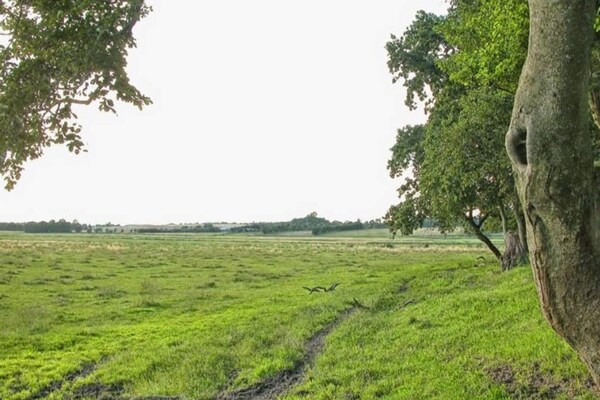 Op 1,0 km van zee: rustgevend vakantiehuis in Asaa - thumbnail 6