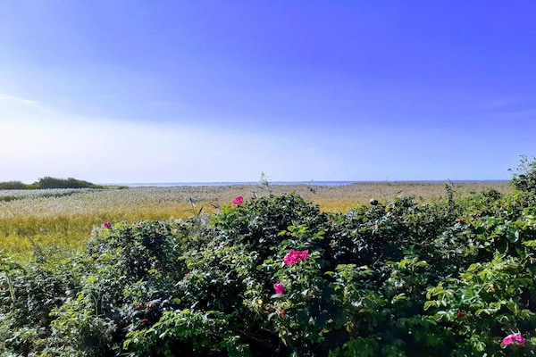 Sfeervol gerenoveerd vakantiehuis met activiteitenruimte, 220m van zee - thumbnail 4