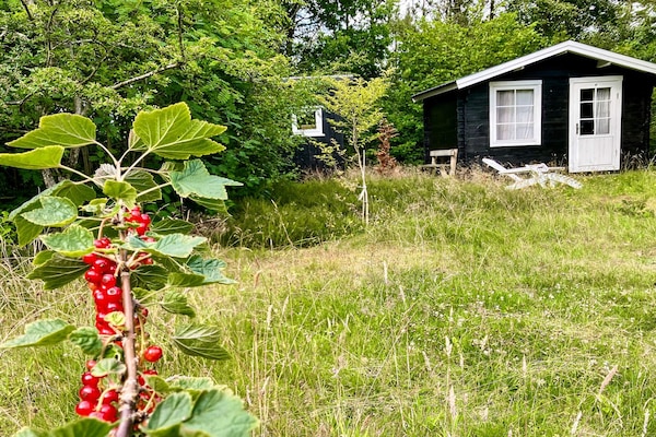 Vrijstaand vakantiehuis bij het water nabij Amtoft met ruime tuin - thumbnail 4