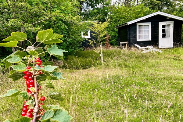Sfeervol vakantiehuis in Vesløs op 200 meter van de Limfjord - thumbnail 4