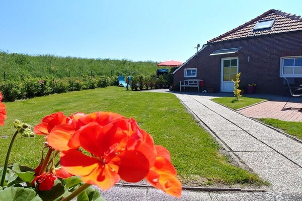 Haus Deichperle: Rustiek vakantiehuis op de dijk bij Dornumersiel - thumbnail 2
