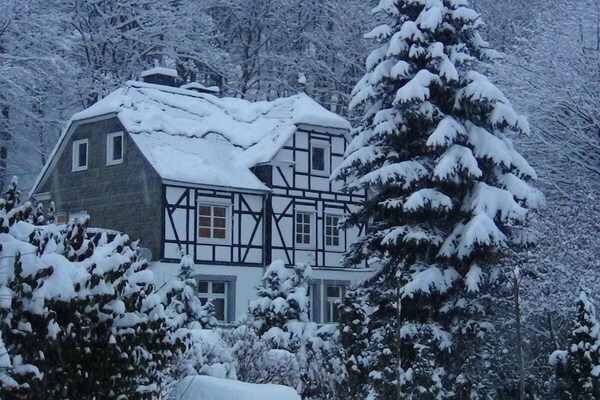 Ruim vakantiehuis voor 14 personen met grote tuin, 300m van centrum Winterberg - thumbnail 3