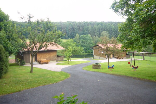 Vakantiehuis bij eigen recreatiemeer in het Odenwald - thumbnail 3
