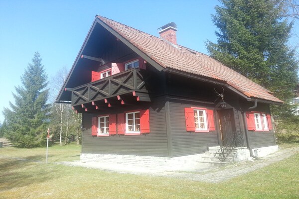 Ruim vakantiehuis voor 5 personen in Bad Mitterndorf, op 4 km van de skilift - thumbnail 2