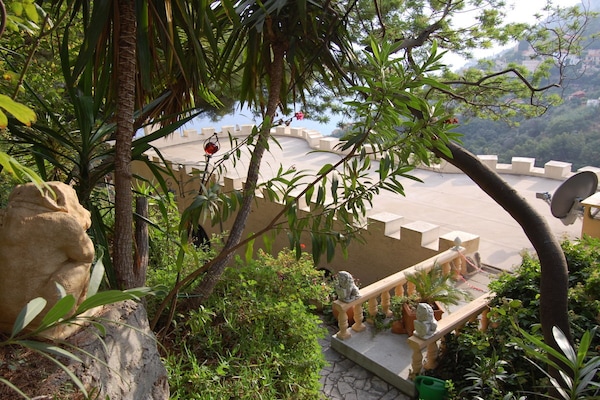 56037 - Roquebrune-Cap-Martin