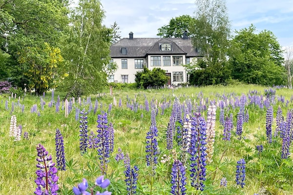 Historisch vakantiehuis voor 21 personen aan de golf in Blekinge, Zweden - thumbnail 2
