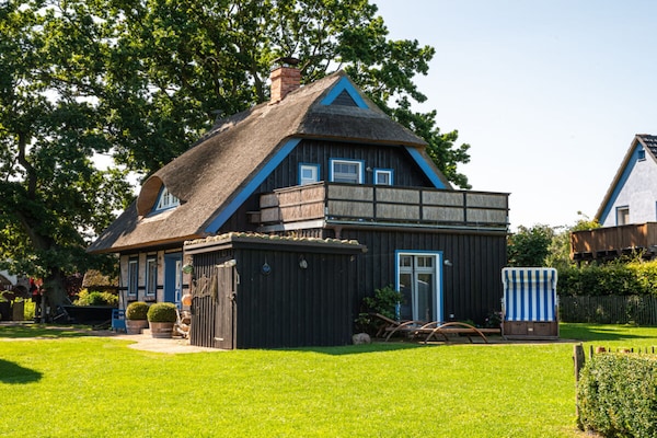 Ecologisch vakantiehuis Born met sauna, dakterras en eigen kippen voor 8 personen - thumbnail 1