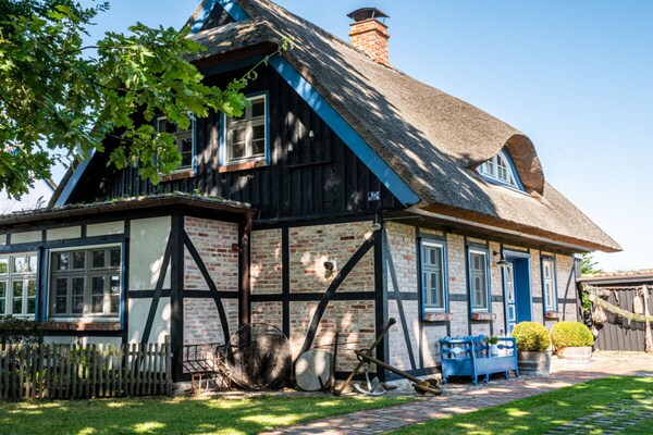 Ecologisch vakantiehuis Born met sauna, dakterras en eigen kippen voor 8 personen - thumbnail 3