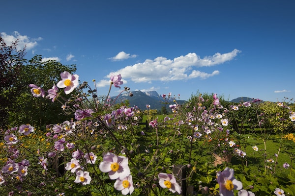 Romantisch vakantiehuis met alpenpanorama in Schönau am Königssee - thumbnail 6