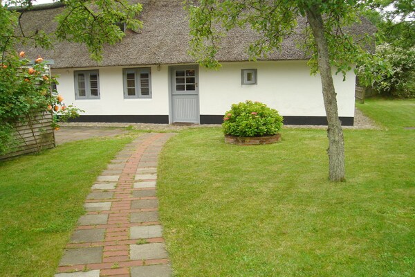Historisch rieten dakhuis aan de oude dijk in St. Peter-Ording - thumbnail 1