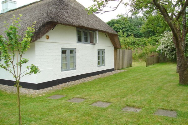 Historisch rieten dakhuis aan de oude dijk in St. Peter-Ording - thumbnail 3