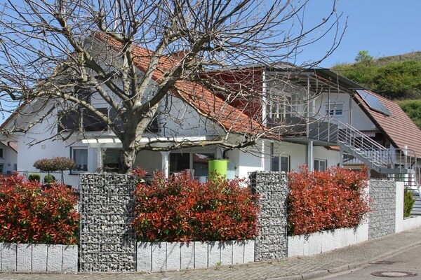 Op 1,0 km van het centrum: Rustgevend vakantiehuis in Endingen - thumbnail 1