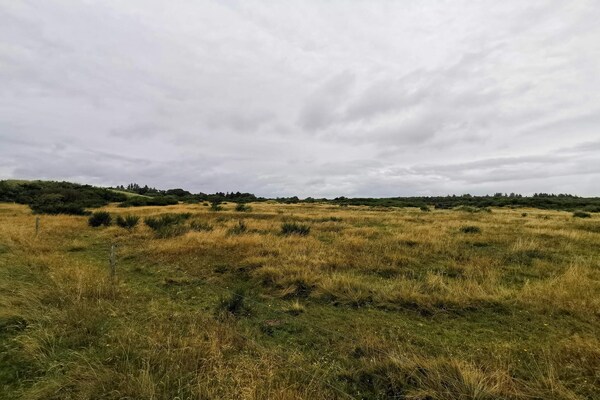 Vrijstaand vakantiehuis bij Ringkøbing Fjord, 600m van zee - thumbnail 6