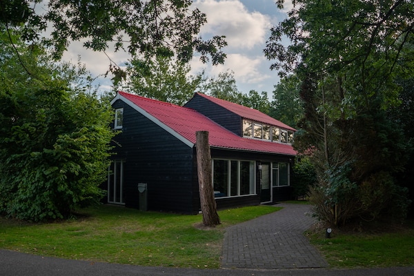 Vrijstaand vakantiehuis voor 12 personen aan Zuidlaardermeer in Drenthe - thumbnail 1