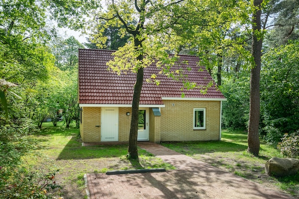 Vrijstaand vakantiehuis met sauna op groen park in Brabantse bossen - thumbnail 2