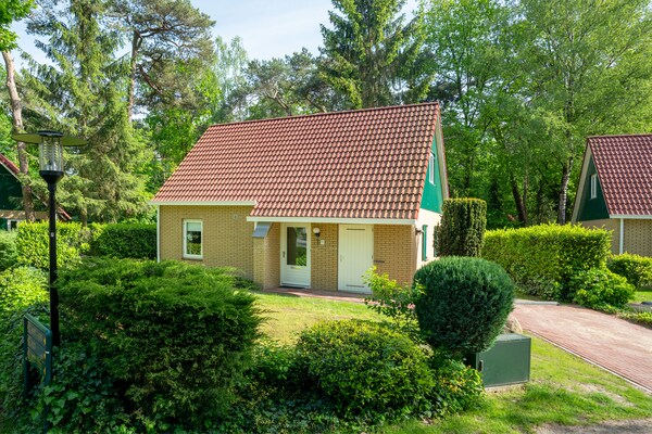 Vrijstaand boshuis met sauna op vakantiepark Parc Duc de Brabant - thumbnail 1