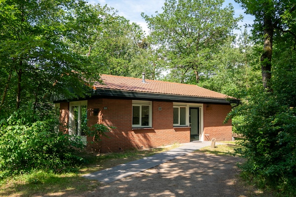 Vrijstaande bungalow Parc Heihaas 4: huisdiervriendelijk genieten op de Veluwe - thumbnail 1