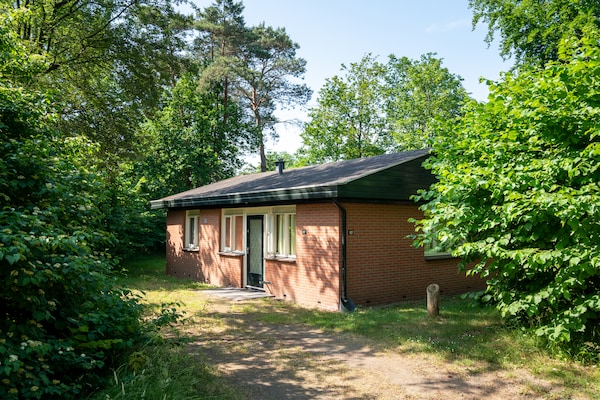 Vrijstaande boshut met haard op rustig vakantiepark bij Putten - thumbnail 1