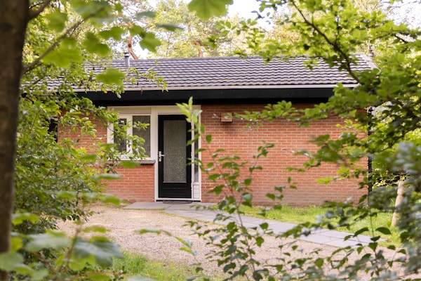 Vrijstaande bosbungalow op Parc Heihaas voor 6 personen - thumbnail 1