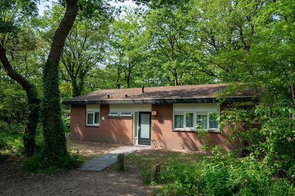Vrijstaande bungalow met open haard op bosrijk vakantiepark Parc Heihaas - thumbnail 1