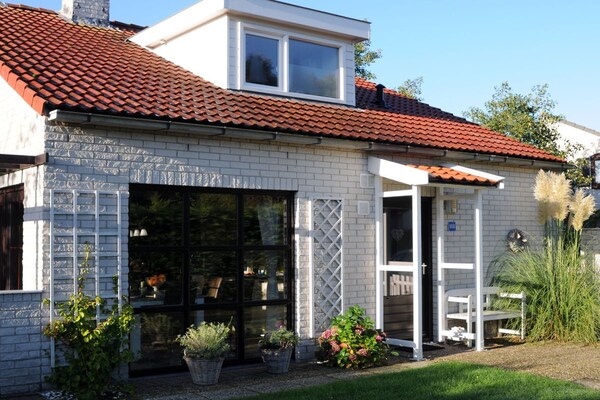 Vrijstaand vakantiehuis met open haard en grote tuin in De Cocksdorp - thumbnail 1