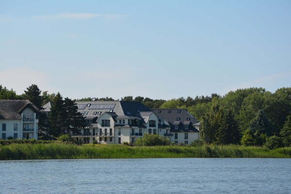 Vakantiehuis aan de Achterwasser in Balm – 4 personen - thumbnail 3