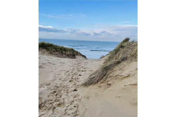 Vakantiehuis aan de Noordzeedijk: wandelen naar strand en duinen - thumbnail 3