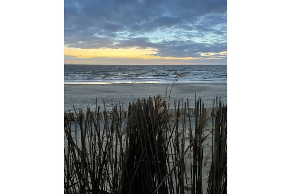 Vakantiehuis aan de Noordzeedijk: wandelen naar strand en duinen - thumbnail 5