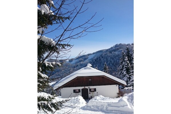 Karl Anton Hütte – Ruim Alpenhuis met bergzicht in Bodental - thumbnail 4