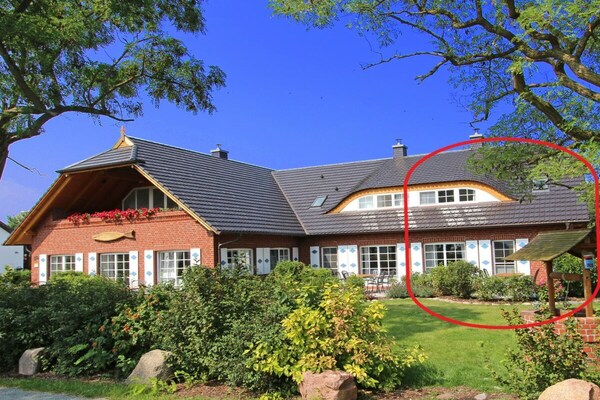 Vakantiehuis met lagune-uitzicht, sauna en open haard in Middelhagen - thumbnail 2