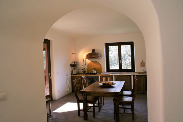 Sfeervol vakantiehuis in olijfgaard, 5 minuten van het Meer van Bolsena - thumbnail 4