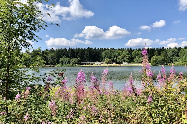 Vrijstaand Nurdachhaus aan de Waldsee in Clausthal-Zellerfeld voor 4 personen - thumbnail 2