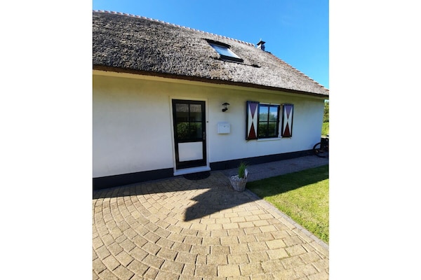 Licht vakantiehuis met grote tuin op Buitenplaats, 1km van Callantsoog - thumbnail 5