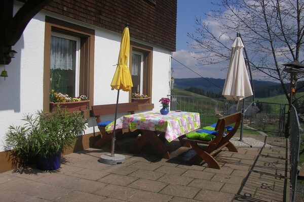 Knus vakantiehuis op biologische boerderij in Breitnau, vlakbij de skipiste - thumbnail 3