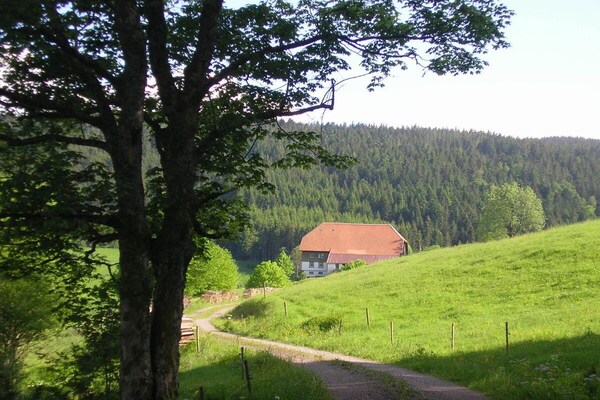 Knus vakantiehuis op biologische boerderij in Breitnau, vlakbij de skipiste - thumbnail 6