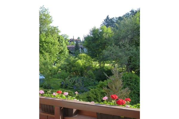 Luxe 4-sterrenappartement Almrausch met balkon in het hart van Oberstaufen - thumbnail 4
